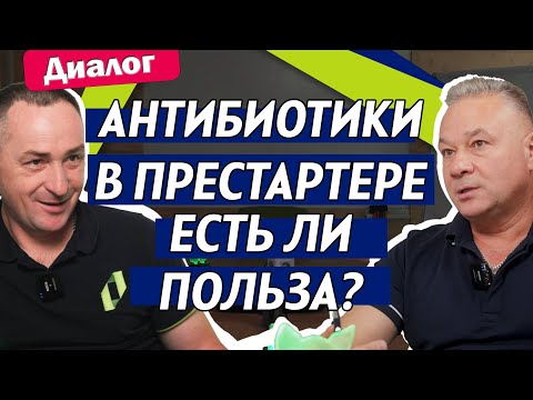 Видео: Применение антибактериальных препаратов в престартере