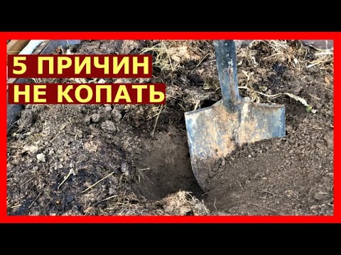 Видео: Нужна ли перекопка грядок осенью? Копать или не копать?