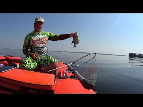 Видео: Ловля на "КОЛЬЦО" без течения!!!