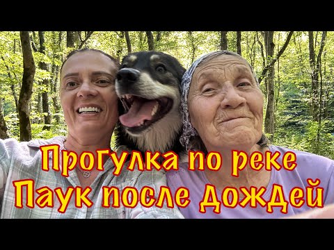 Видео: База Каньон. Прозрачная река. Собаки. Осень.
