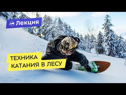 Видео: Фрирайд на сноуборде: техника катания в лесу