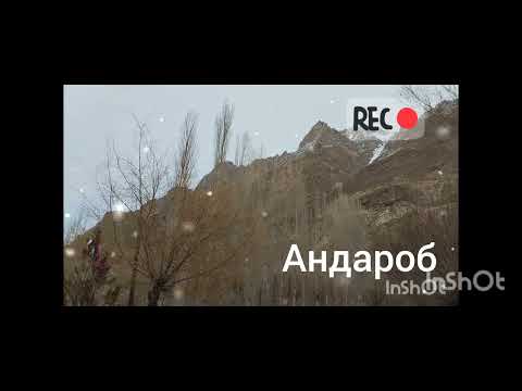 Видео: Горон