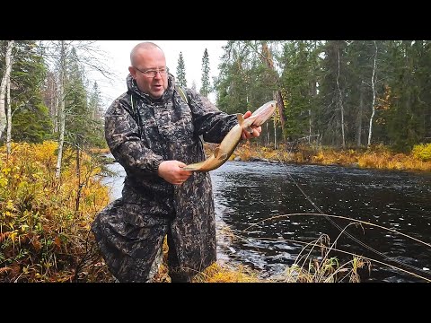 Видео: Рыбалка в Карелии. Ловля щук на спиннинг в середине осени.