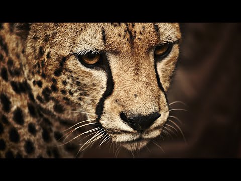 Видео: Прямая трансляция пользователя КИРОЛ100