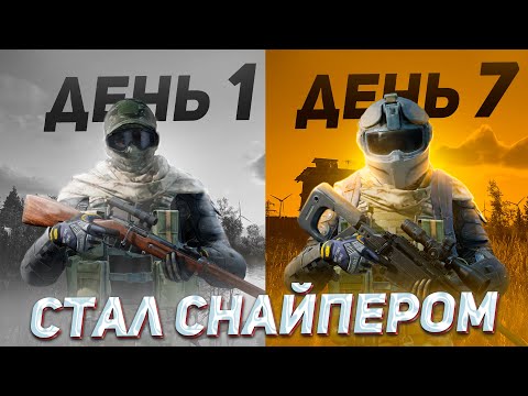 Видео: Играл только со СНАЙПЕРКАМИ 7 ДНЕЙ и вот что ПОНЯЛ в Арена Брейкаут