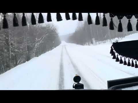 Видео: Работаем! Держим планку по ставкам.