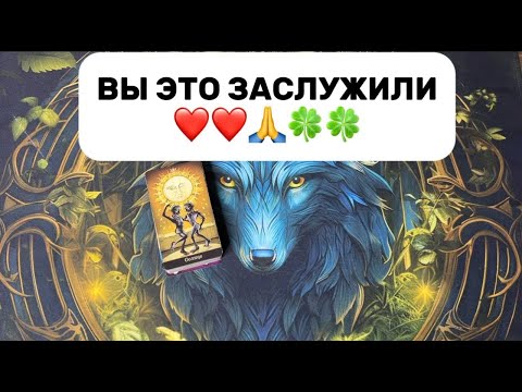Видео: ВЫ ЭТО ЗАСЛУЖИЛИ🙏