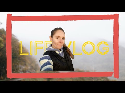 Видео: ‼️Самый короткий влог и самая длинная рабочая неделя‼️