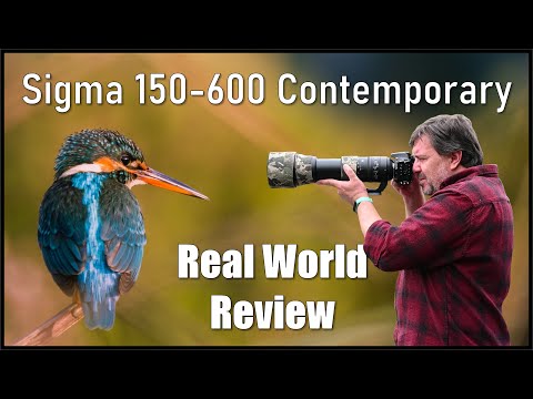Видео: Сигма 150-600 Современник. Обзор после 40 000 фотографий. Это лучший объектив?