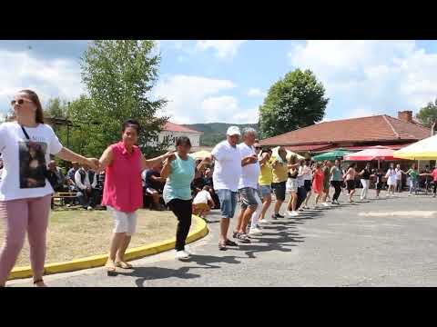 Видео: Жълтуша 2022-11