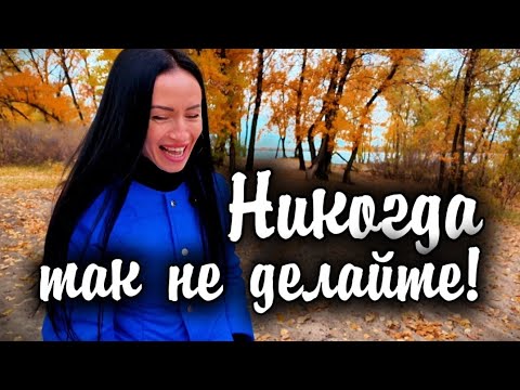 Видео: VLOG: КАМЕНСКОЕ/ АЛЕСЯ ЗА РУЛЕМ/ ПОИСК ГОРШКА, ЕЩЕ ТОТ КВЕСТ.