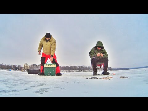 Видео: Поплавок с коромыслом сработал. Простая уловистая снасть.