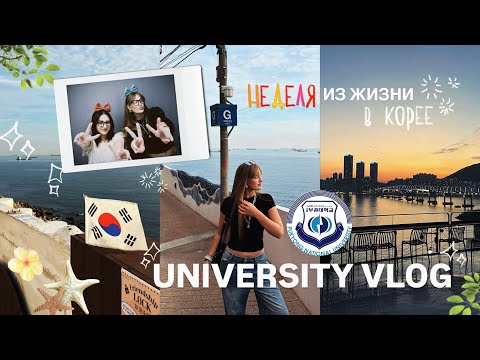 Видео: НЕДЕЛЯ ИЗ ЖИЗНИ студента в корее🇰🇷📚 | спорт, пары, встречи с друзьями