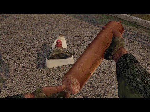 Видео: Первый Трэш Мод? - STALKER Pustule #1