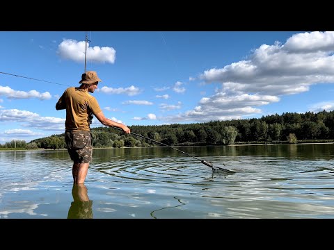 Видео: Скажений кльов Трофейних Коропів