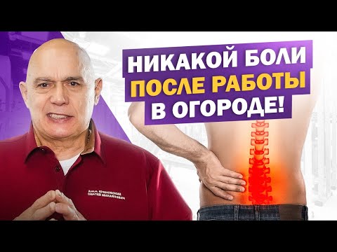 Видео: 3 упражнения на даче для здоровой спины!