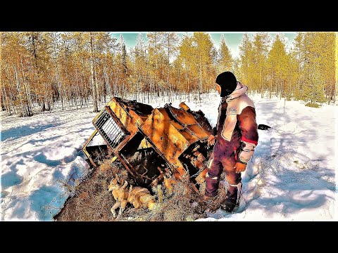 Видео: РАЗВЯЗКА С ТРАКТОРОМ! НАШЁЛ СЕЙФ,КЛАДБИЩЕ СТАРЫХ КУЗОВОВ И МНОГОЕ ДРУГОЕ