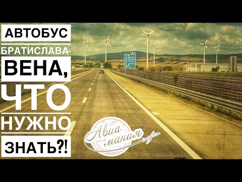 Видео: Как добраться из Братиславы в Вену на автобусе | #Авиамания