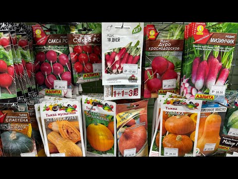 Видео: И снова обзор семян 31 октября 25 год . 