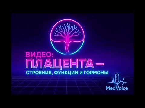 Видео: Плацента: строение, функции и гормоны | Физиология беременности