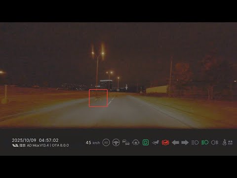 Видео: Косуля в р-не МКАД (Сухарево)