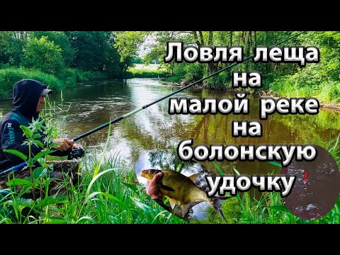 Видео: Ловля леща на реке. Ловля леща на малой реке на поплавок. Болонская ловля на реке.