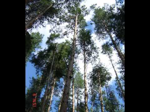 Видео: Добро пожаловать в Колояр