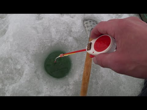 Видео: Раздача крупняка,отрывает мормышки,леска на пределе. Рыбалка 2024-2025