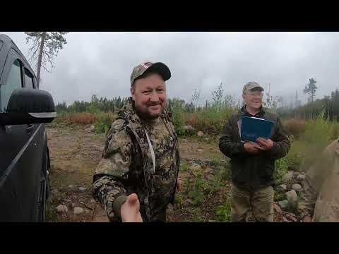 Видео: "ИСПЫТАНИЯ ЛАЕК ПО БОРОВОЙ ДИЧИ"