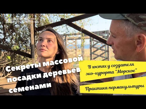 Видео: Крымская фисташка. Лесосад в степи и что делать, когда посадить нужно сразу много саженцев!