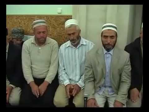 Видео: турчи на даргинском