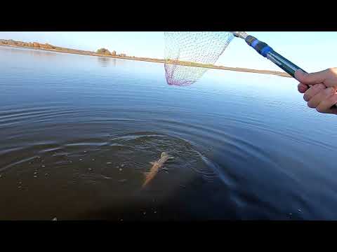 Видео: Сезон 2025 закрыт.