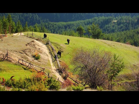 Видео: Махали, разхвърляни край Юндола