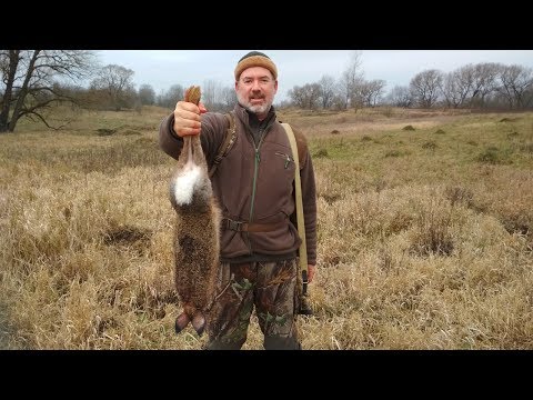 Видео: ОХОТА НА ЗАЙЦА ПО ЧЕРНОТРОПУ.