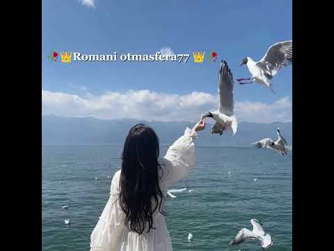 Видео: #Romani otmasfera77 #врекушки #вуря #дэвлорэса #