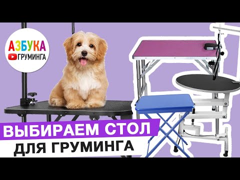 Видео: Как выбрать стол для груминга? Для работы, для дома или выставок