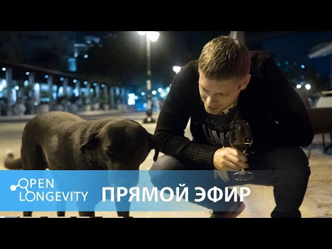 Видео: Новости из Лондона и со всего мира. Юрий Дейгин