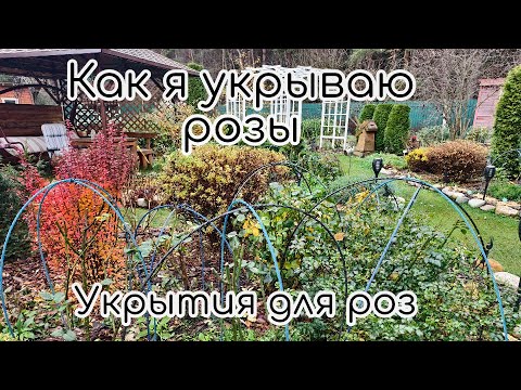 Видео: Как я укрываю розы. Укрытия для роз