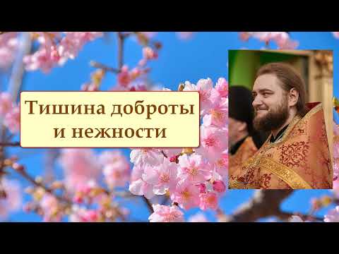 Видео: ТИШИНА ДОБРОТЫ И НЕЖНОСТИ. Отец Савва (Мажуко).
