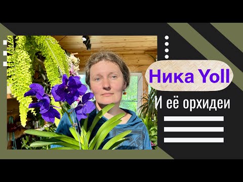 Видео: Летнее цветение | Ирисы | Yoll, Морошка и все-все-все!