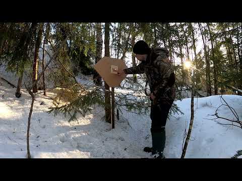 Видео: ИЖ-26 стрельба пулей 12 калибра