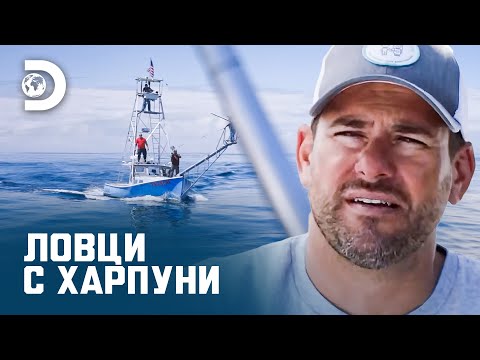 Видео: Жестока битка между рибари | Ловци с харпуни