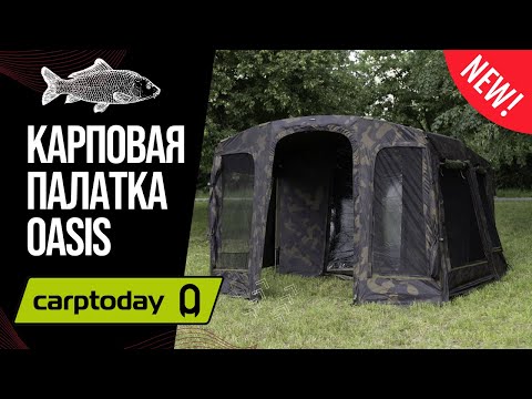 Видео: Обзор на карповую палатку CARPTODAY OASIS. Установка и основные характеристики. 2-х местная палатка