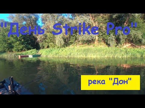 Видео: "День Strike Pro", Река "Дон" (Сомик, щука, судачек и окунь).