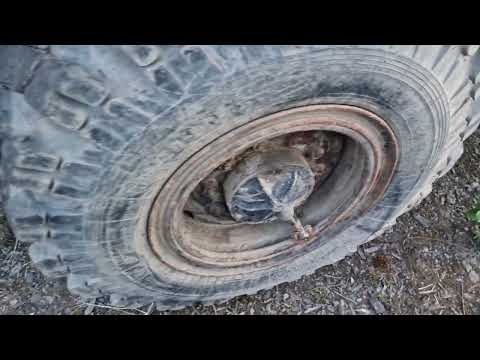 Видео: Меняем шланги подкачки, качаем колёса на Сельхознике.