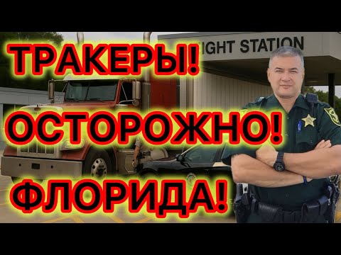 Видео: CDL права Вашингтона и Калифорнии не признаются. КПП с агентами ICE на хайвеях Флориды. 