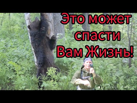 Видео: Не ходи в лес пока не узнаешь эту информацию! ВАЖНО ЗНАТЬ КАЖДОМУ!