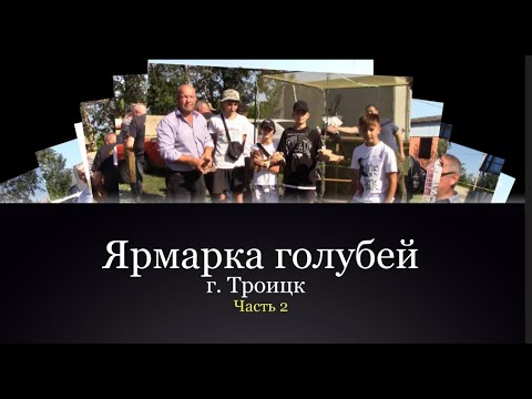 Видео: Ярмарка голубей/г. Троицк. 12 августа 2023г - Часть 2