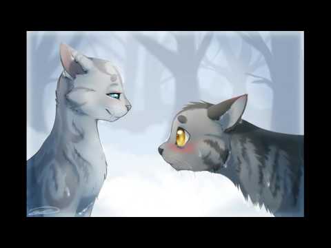 Видео: Серебрянка и Крутобок - Ты Только Мой [Заказ с канала - Вислоухий Кот-Воитель]