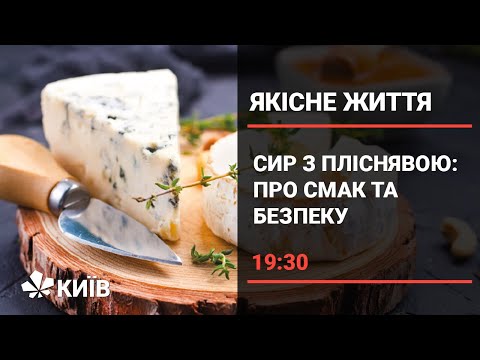 Видео: Сир з пліснявою: користь і шкода для організму